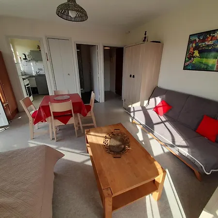 Lumineux Centre-ville Avec Wi-fi, Lave-linge, Lave-vaisselle, Animaux Admis - Fr-1-541-131 *