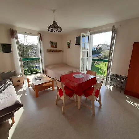 Lumineux Centre-ville Avec Wi-fi, Lave-linge, Lave-vaisselle, Animaux Admis - Fr-1-541-131