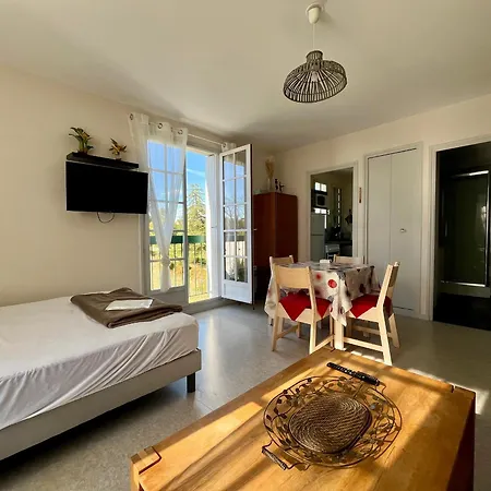 Apartment Lumineux Centre-ville Avec Wi-fi, Lave-linge, Lave-vaisselle, Animaux Admis